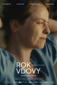 Год вдовы (фильм 2024)